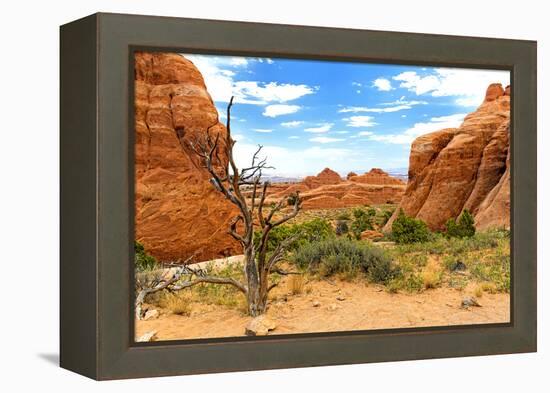 Landscape - Arches National Park - Utah - United States-Philippe Hugonnard-Framed Premier Image Canvas