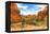 Landscape - Arches National Park - Utah - United States-Philippe Hugonnard-Framed Premier Image Canvas