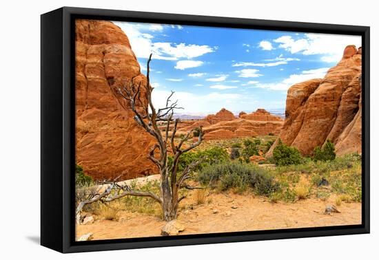 Landscape - Arches National Park - Utah - United States-Philippe Hugonnard-Framed Premier Image Canvas