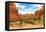 Landscape - Arches National Park - Utah - United States-Philippe Hugonnard-Framed Premier Image Canvas