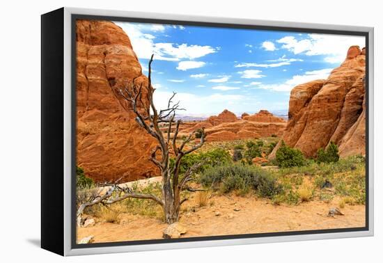 Landscape - Arches National Park - Utah - United States-Philippe Hugonnard-Framed Premier Image Canvas