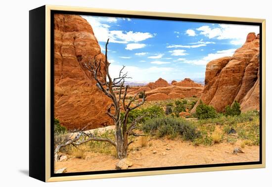 Landscape - Arches National Park - Utah - United States-Philippe Hugonnard-Framed Premier Image Canvas