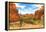 Landscape - Arches National Park - Utah - United States-Philippe Hugonnard-Framed Premier Image Canvas