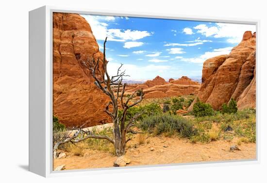 Landscape - Arches National Park - Utah - United States-Philippe Hugonnard-Framed Premier Image Canvas