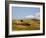 Landscape around Enna with Mount Etna in the Background, Enna, Sicily, Italy, Europe-Levy Yadid-Framed Photographic Print