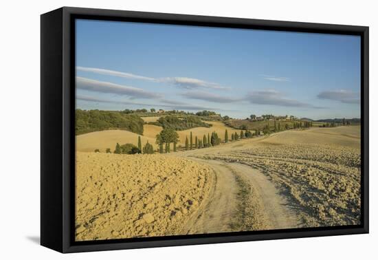 Landscape around Pienza-Guido Cozzi-Framed Premier Image Canvas