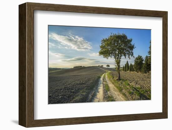 Landscape around Pienza-Guido Cozzi-Framed Premium Photographic Print