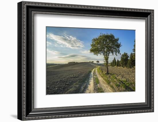 Landscape around Pienza-Guido Cozzi-Framed Premium Photographic Print