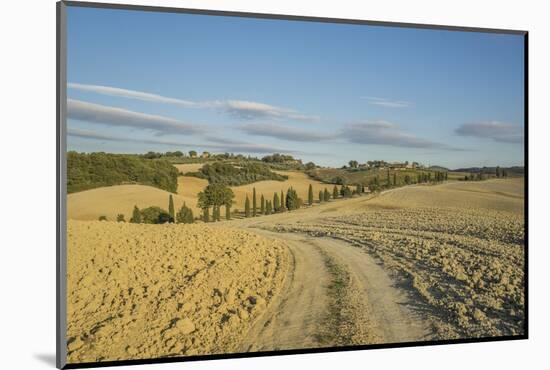 Landscape around Pienza-Guido Cozzi-Mounted Photographic Print