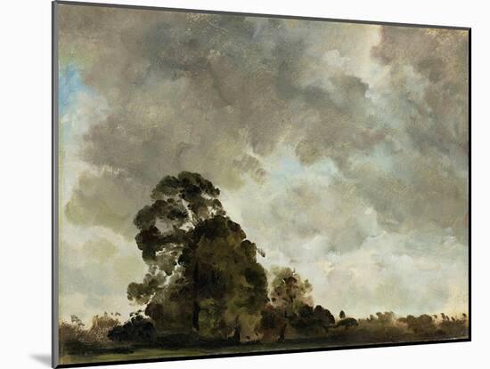 Landscape at Hampstead, Tree and Storm Clouds, C.1821 (Oil on Paper Laid Down on Panel)-John Constable-Mounted Giclee Print