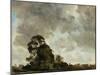 Landscape at Hampstead, Tree and Storm Clouds, C.1821 (Oil on Paper Laid Down on Panel)-John Constable-Mounted Giclee Print