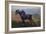 Landscape at Romeny, the Horse (Oil on Canvas)-Jules Ernest Renoux-Framed Giclee Print