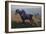 Landscape at Romeny, the Horse (Oil on Canvas)-Jules Ernest Renoux-Framed Giclee Print