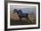 Landscape at Romeny, the Horse (Oil on Canvas)-Jules Ernest Renoux-Framed Giclee Print