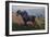 Landscape at Romeny, the Horse (Oil on Canvas)-Jules Ernest Renoux-Framed Giclee Print