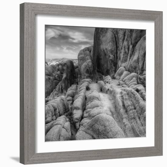 Landscape at White Tank, Joshua Tree (Square)-Vincent James-Framed Photographic Print