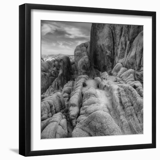 Landscape at White Tank, Joshua Tree (Square)-Vincent James-Framed Photographic Print