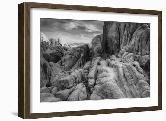 Landscape at White Tank, Joshua Tree-Vincent James-Framed Photographic Print