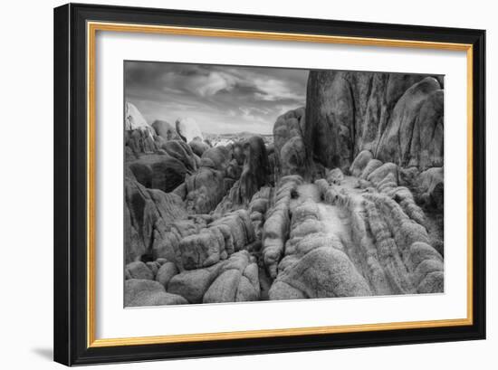 Landscape at White Tank, Joshua Tree-Vincent James-Framed Photographic Print