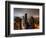 Landscape by Night, Misty View, Times Square, Manhattan, New York, United States-Philippe Hugonnard-Framed Photographic Print