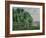 Landscape by the Sea-Gustave Loiseau-Framed Giclee Print