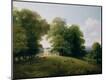 Premium Giclee Print