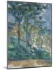 Landscape, C.1900-Paul Cézanne-Mounted Giclee Print