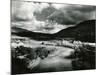 Landscape, Carmel Valley, 1952-Brett Weston-Mounted Premium Photographic Print