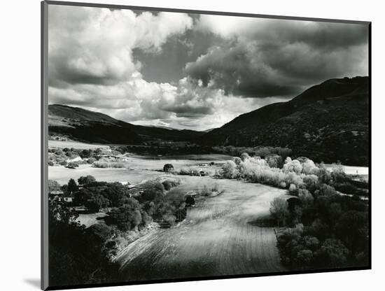 Landscape, Carmel Valley, 1952-Brett Weston-Mounted Photographic Print