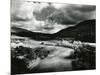 Landscape, Carmel Valley, 1952-Brett Weston-Mounted Premium Photographic Print