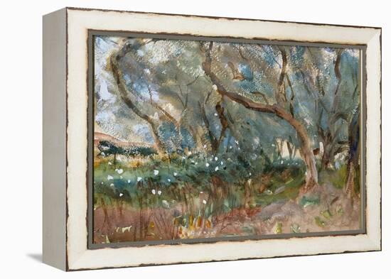 Landscape, Corfu, 1909-John Singer Sargent-Framed Premier Image Canvas