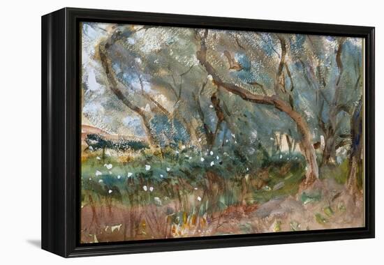 Landscape, Corfu, 1909-John Singer Sargent-Framed Premier Image Canvas