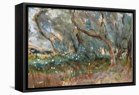 Landscape, Corfu, 1909-John Singer Sargent-Framed Premier Image Canvas