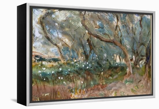 Landscape, Corfu, 1909-John Singer Sargent-Framed Premier Image Canvas