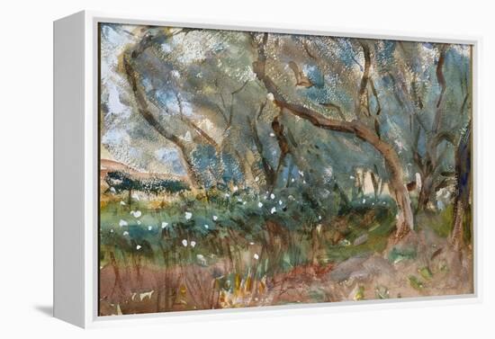 Landscape, Corfu, 1909-John Singer Sargent-Framed Premier Image Canvas