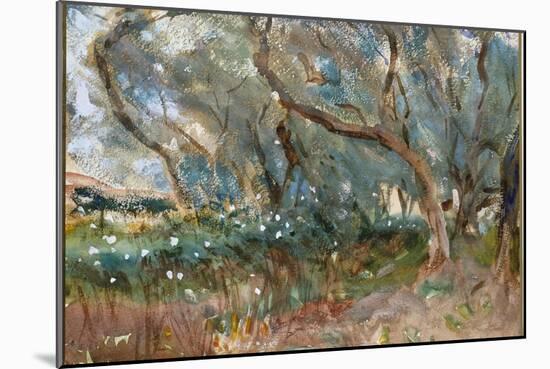 Landscape, Corfu, 1909-John Singer Sargent-Mounted Giclee Print