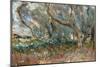 Landscape, Corfu, 1909-John Singer Sargent-Mounted Giclee Print