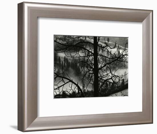 Landscape, Europe, 1968-Brett Weston-Framed Photographic Print