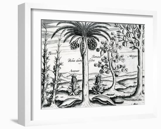 Landscape from 'India Orientalis', 1598-Theodore de Bry-Framed Giclee Print