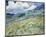 Landscape from Saint-Remy, 1889-Vincent van Gogh-Mounted Art Print