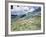 Landscape from Saint-Rémy-Vincent van Gogh-Framed Giclee Print