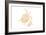 Landscape Gold Turtles White-Sarah Manovski-Framed Giclee Print