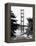 Landscape, Golden Bridge, Black and White Photography, San Francisco, California, United States-Philippe Hugonnard-Framed Premier Image Canvas