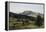 Landscape, Hill and Dale-Albert Bierstadt-Framed Premier Image Canvas