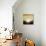 Landscape II-Simon Addyman-Premium Giclee Print displayed on a wall