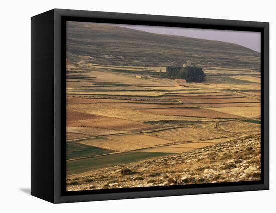 Landscape in Autumn, Near Teruel, Aragon, Spain-Michael Busselle-Framed Premier Image Canvas