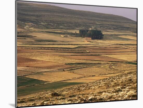 Landscape in Autumn, Near Teruel, Aragon, Spain-Michael Busselle-Mounted Photographic Print