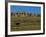 Landscape in Badlands National Park-Layne Kennedy-Framed Photographic Print