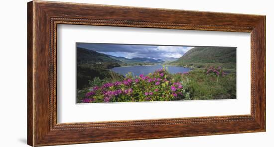 Landscape in Killarney National Park, County Kerry, Munster, Ireland-null-Framed Art Print