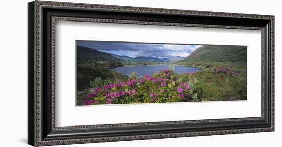 Landscape in Killarney National Park, County Kerry, Munster, Ireland-null-Framed Art Print